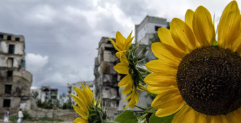 Corporate Meeting: Financing Ukraine